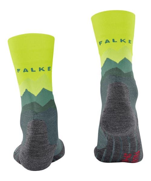 Falke Tk2 Explore Crest Hiking Socks In Animal Print