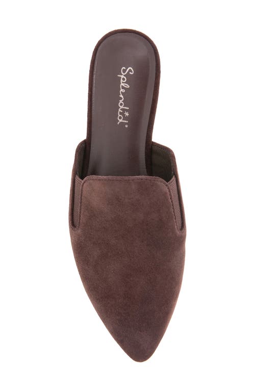 Splendid Liza Mule In Burgundy