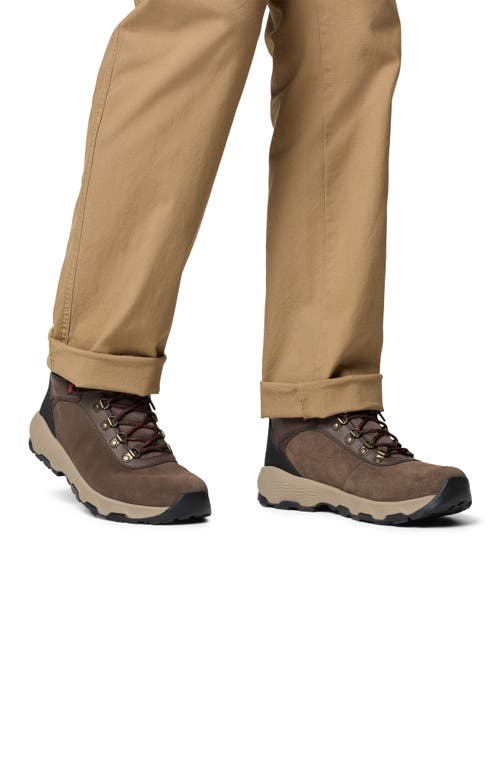 Columbia Newton Wander™ Waterproof Hiking Boot In Cordovan/spice