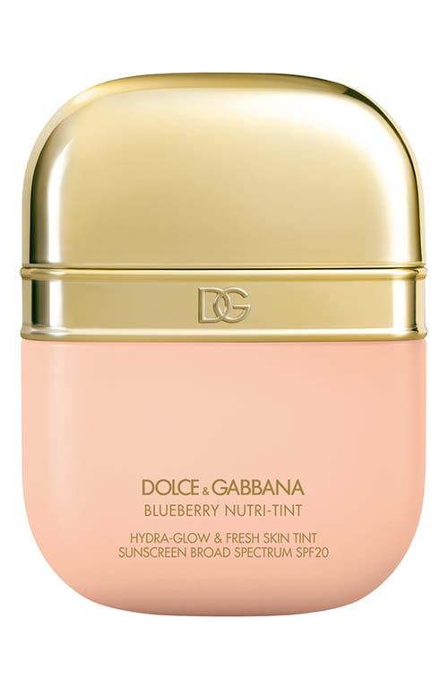 Dolce & Gabbana Dolce&gabbana The Blueberry Nutri-tint Skin Tint
