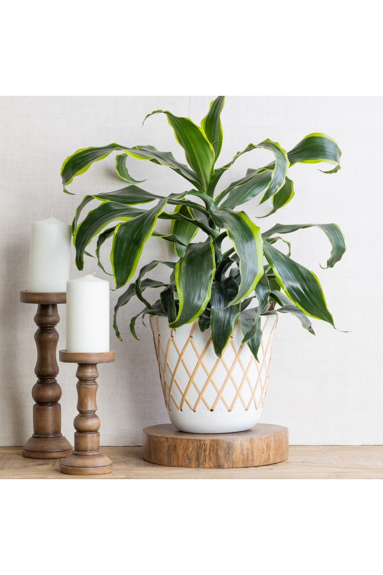 7.5 in. Criss-Cross Pattern Planter, Alternate, color, White