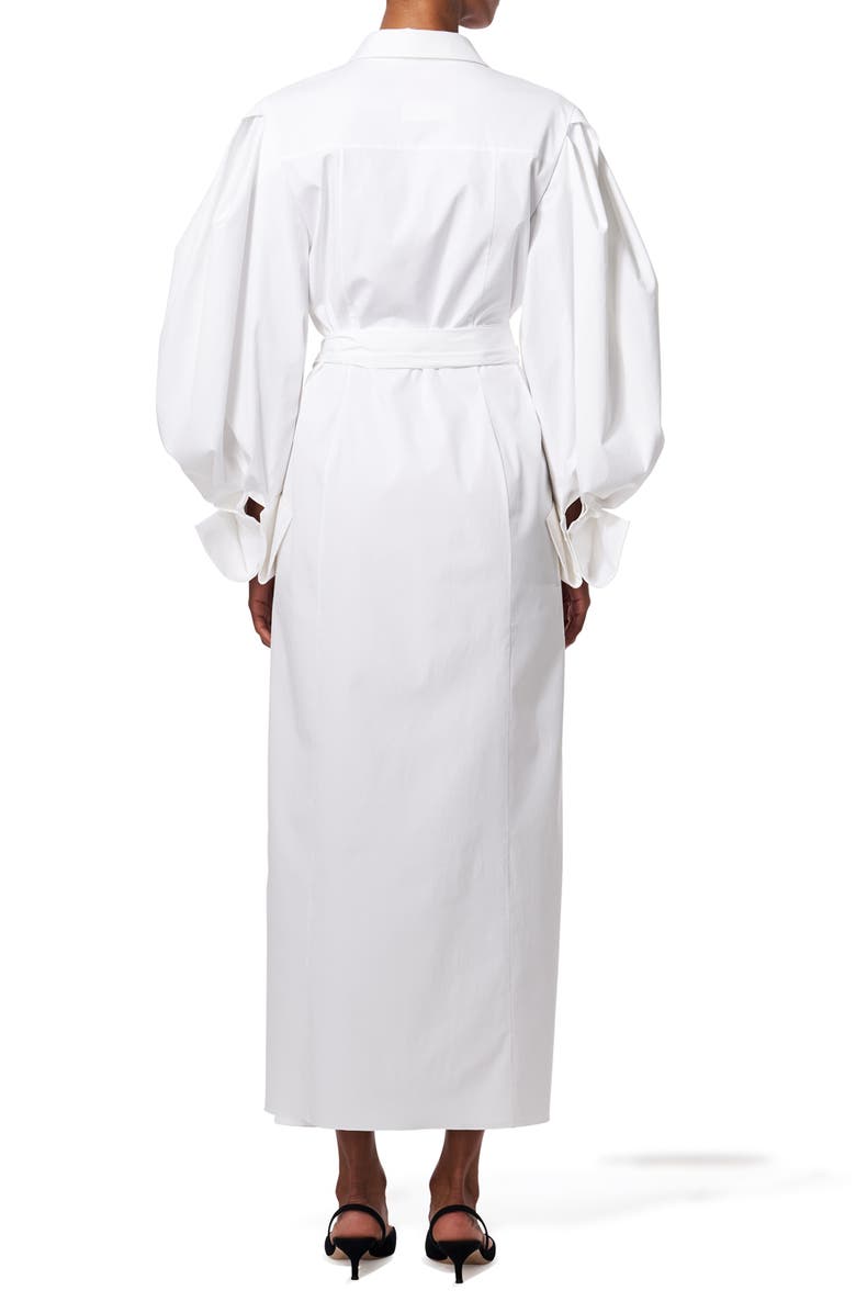 Carolina Herrera Belted Long Sleeve Midi Shirtdress, Alternate, color, 