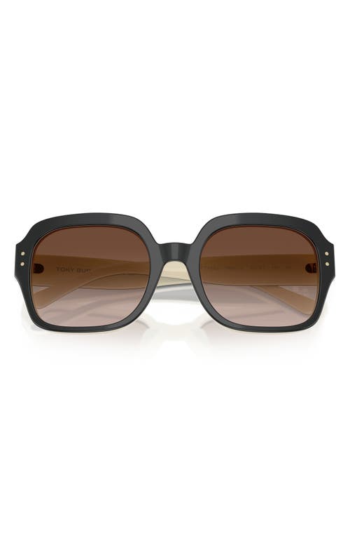 Tory Burch 56mm Round Sunglasses In Black/ivory