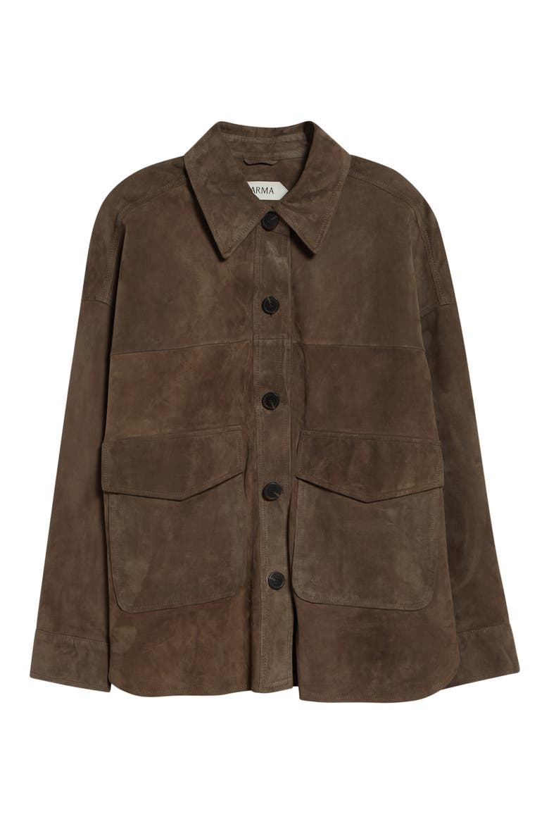 Kaylee Lamb Suede Jacket, Alternate, color, SOIL