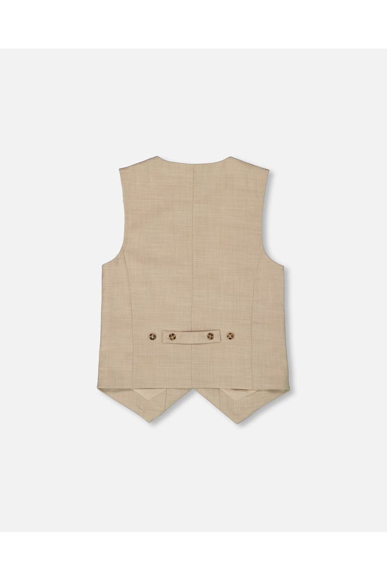 Sleveless Elegant V-Neck Vest, Alternate, color, Beige