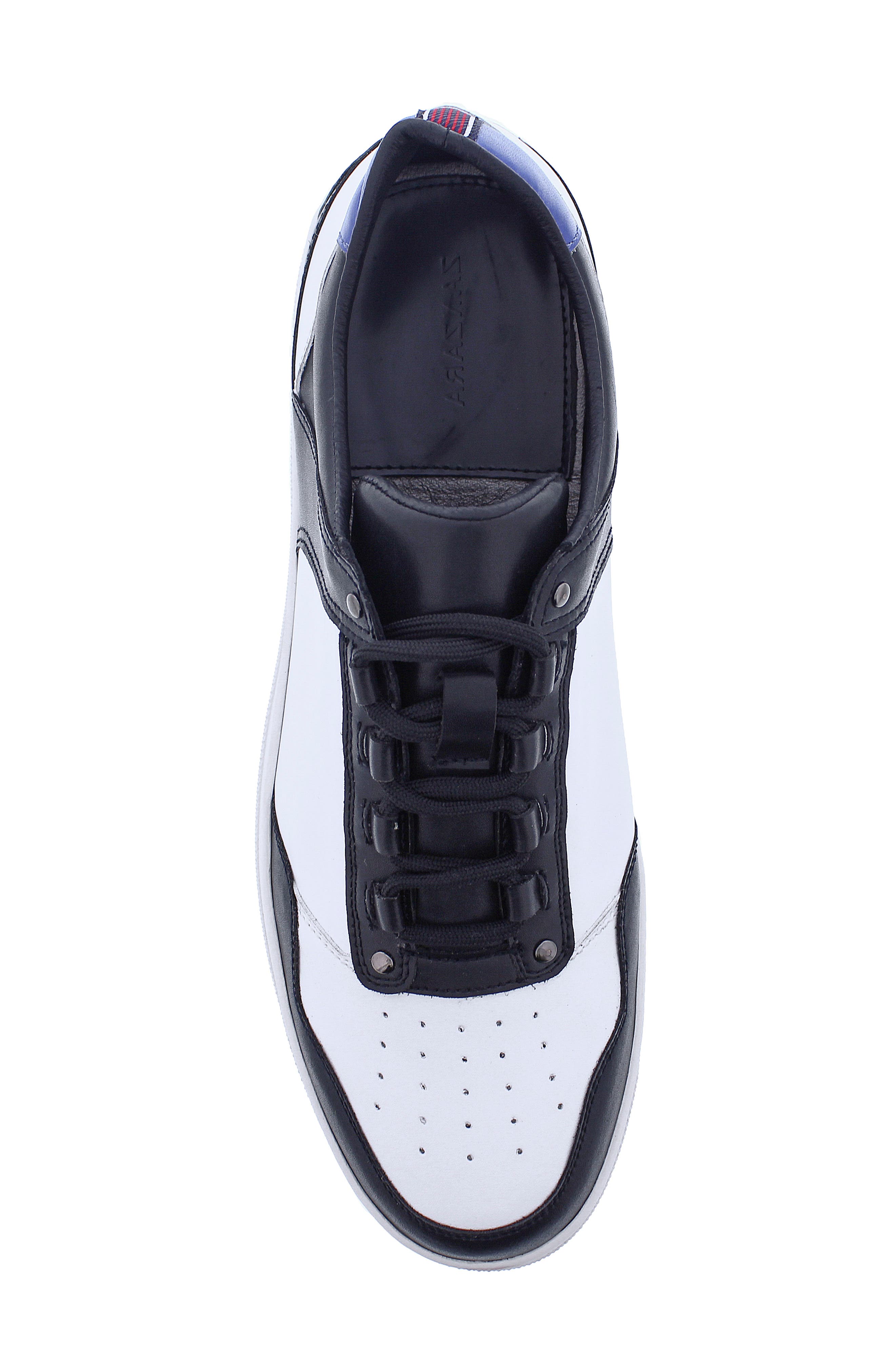 Zanzara Amaris Low Top Sneaker, Alternate, color, 