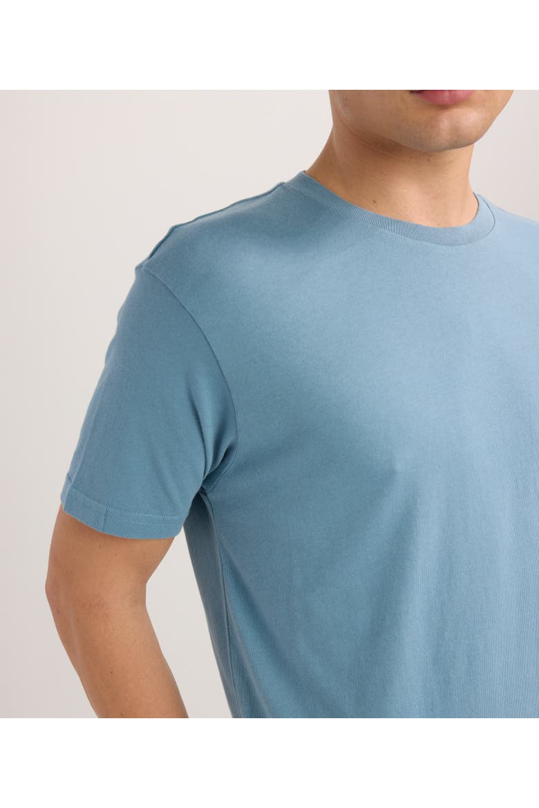 Regen Unisex Tee, Alternate, color, Slate