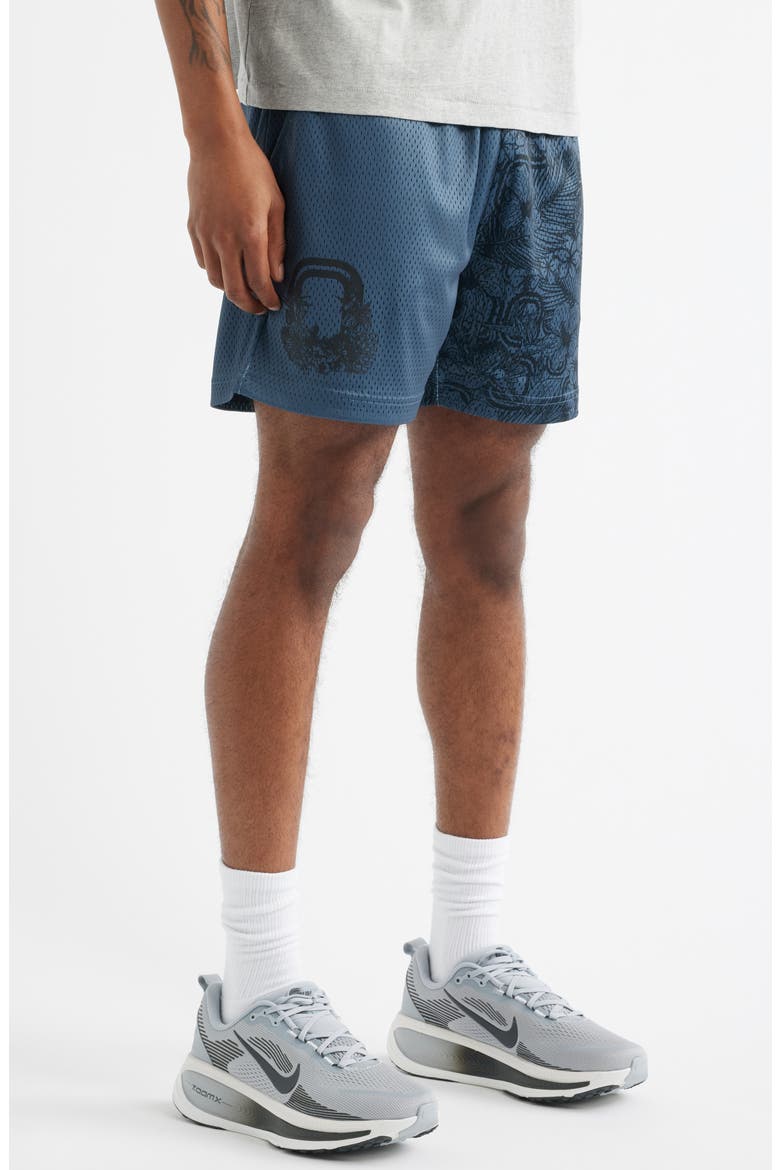 Summer Mesh Shorts, Alternate, color, BLACK