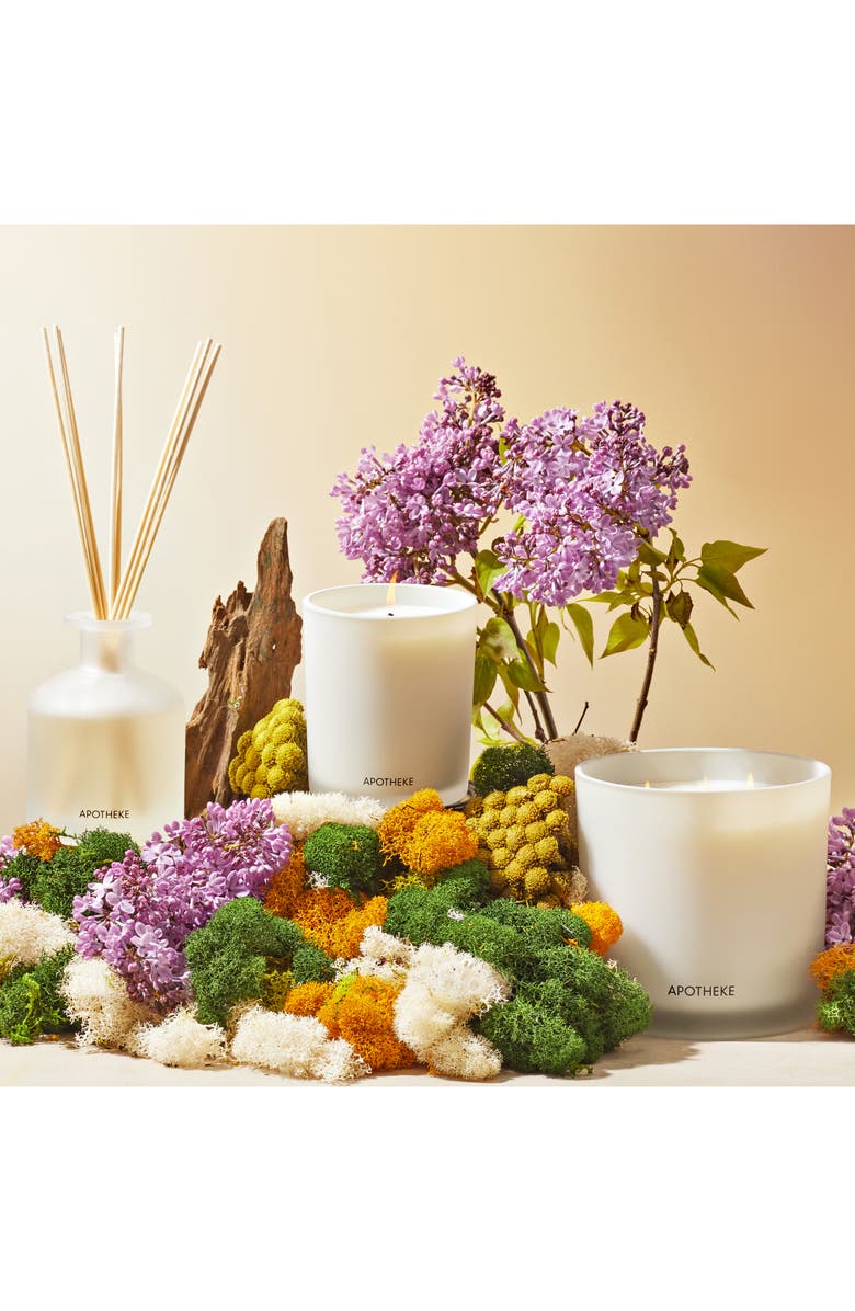 APOTHEKE White Vetiver 3-Wick Candle, Alternate, color, White