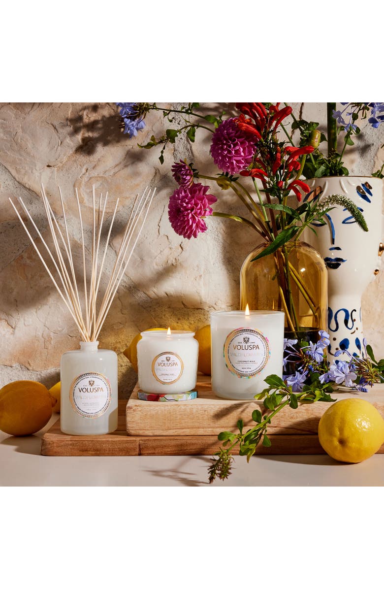 Voluspa Wildflowers Superbloom Gift Set, Alternate, color, Black Tones