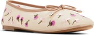ALDO Joselie Ballet Flat
