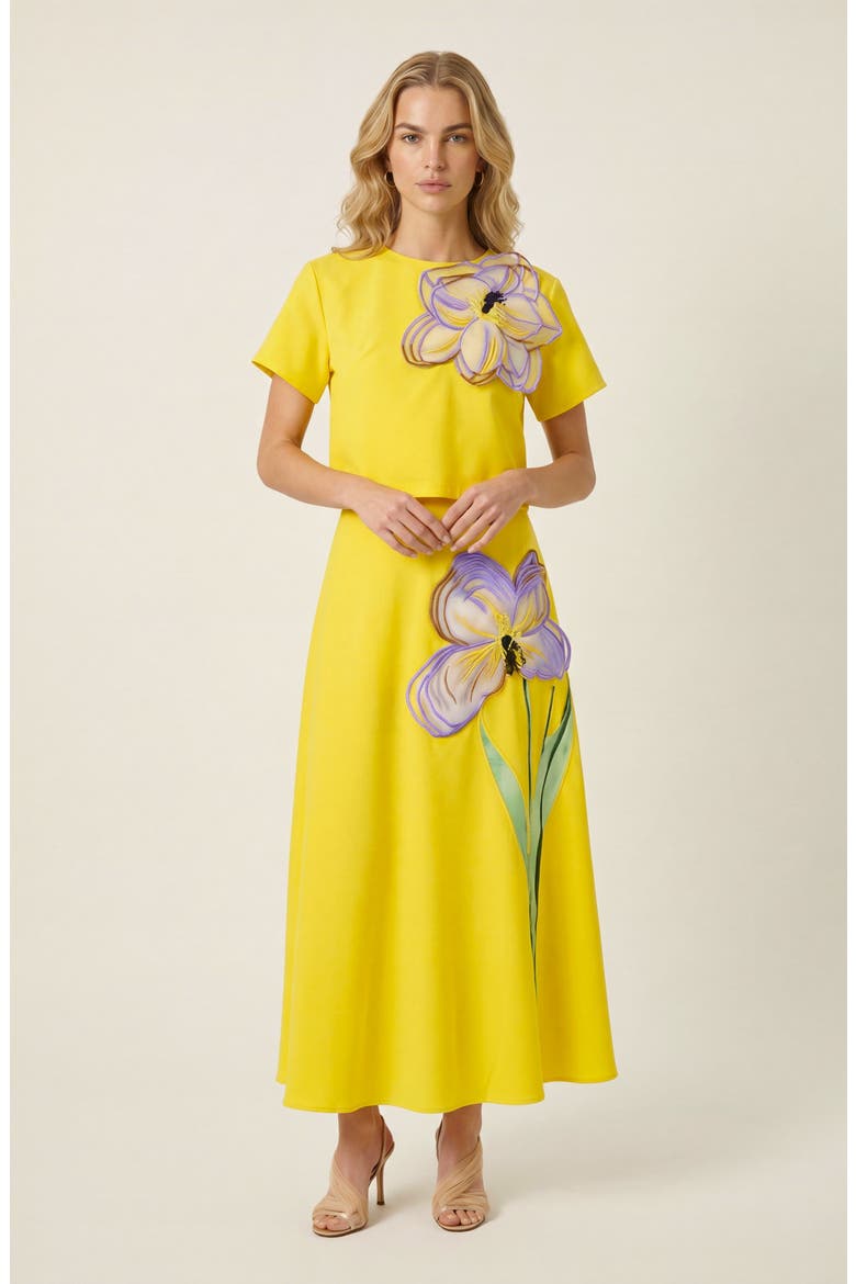 Summer Embroidered Two Piece Set, Alternate, color, Yellow