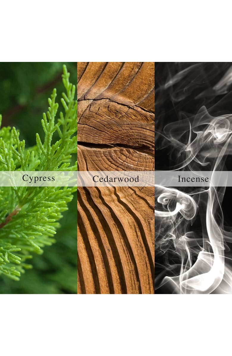 AllSaints Incense City Eau de Parfum, Alternate, color, 