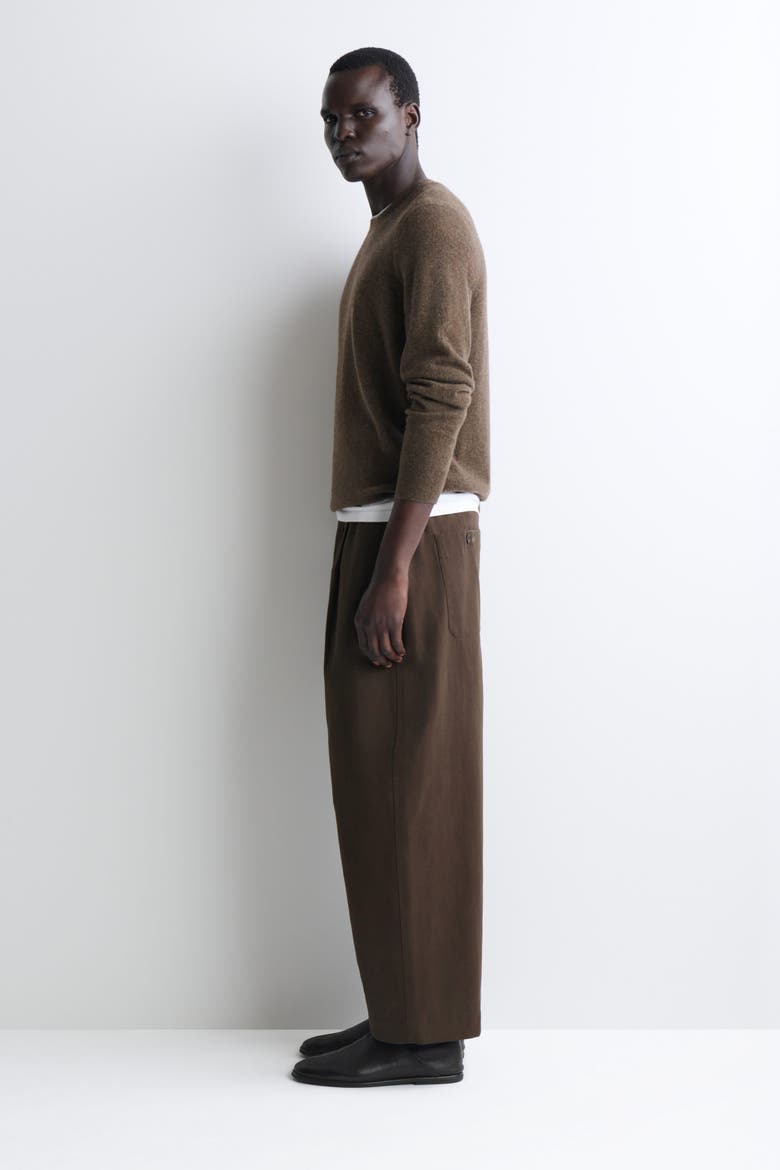 Pleated Relaxed-Fit Barrel-Leg Pants, Alternate, color, BROWN