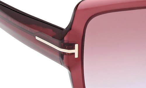 Tom Ford Kaya Beveled Acetate Square Sunglasses In Pink