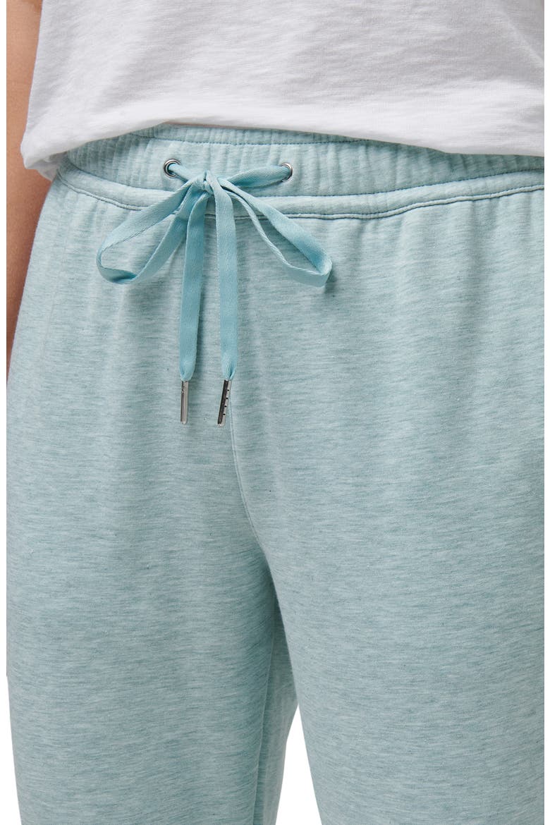 Cloud Drawstring Fleece Joggers, Alternate, color, HEATHER ETHER