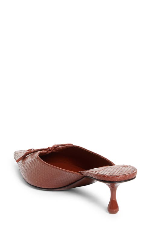 Jimmy Choo Scarlett 50 Leather Snake-print Mules In Brown