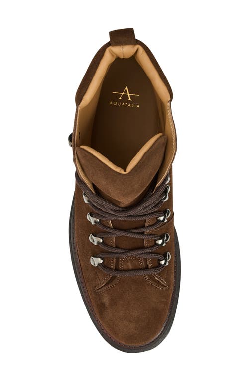 Aquatalia Denali Water Resistant Lace-up Boot In Brown