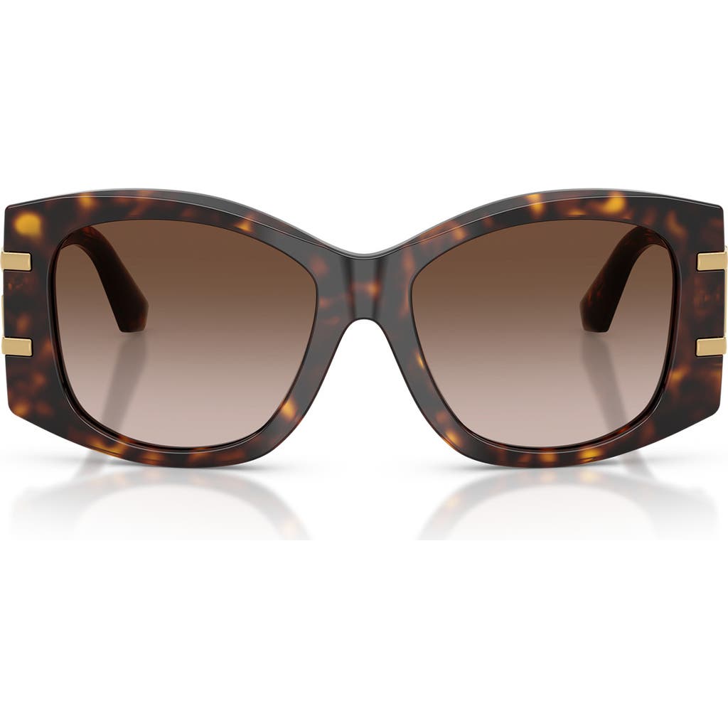 Dolce & Gabbana Dg4501 Acetate Butterfly Sunglasses In Brown