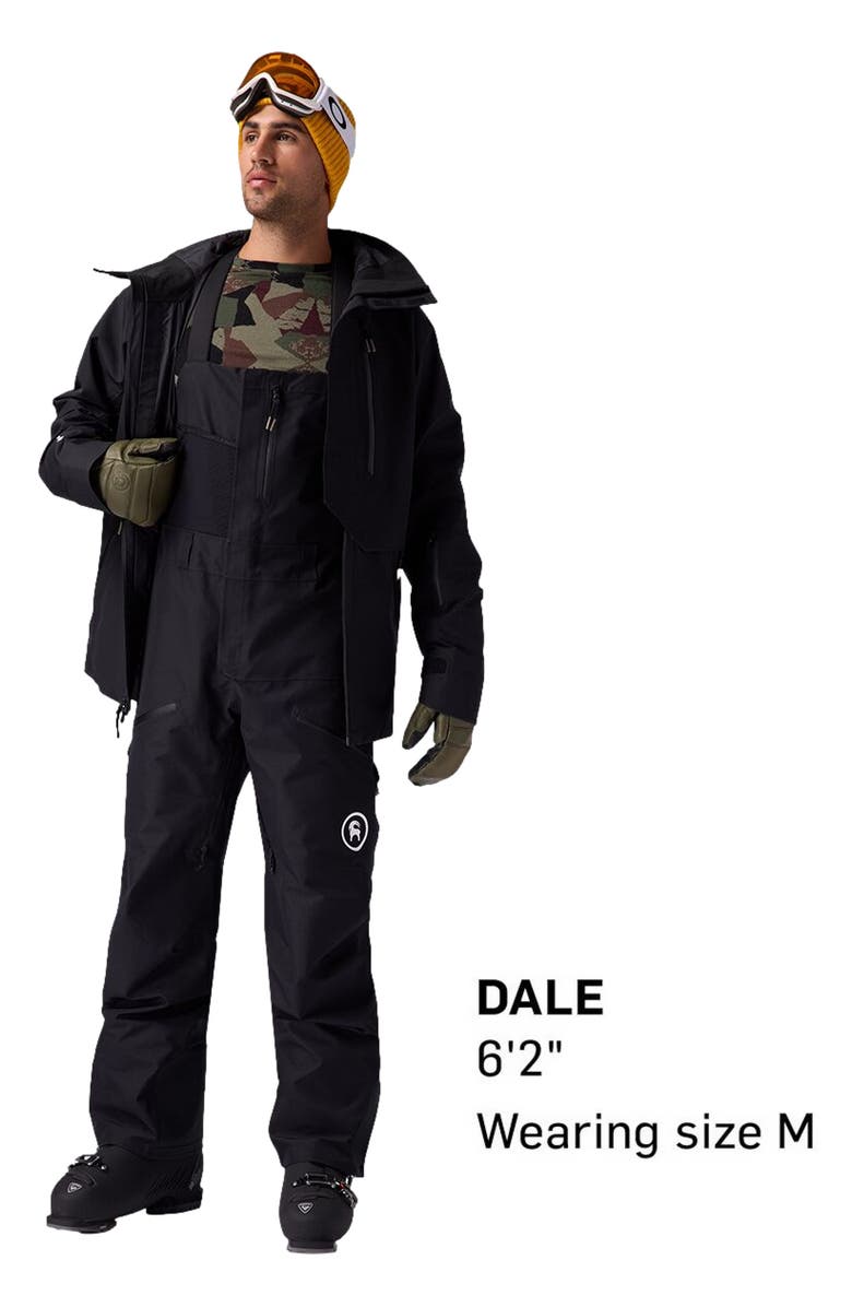 Backcountry Cottonwoods Gore-Tex Shell Bib Pant - Men's, Alternate, color, Black