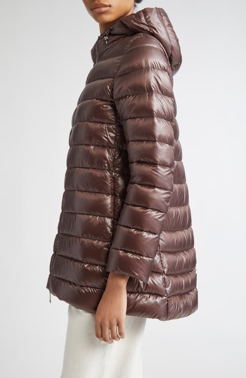 Herno Shiny Nylon Hooded Down Puffer Jacket In Brown