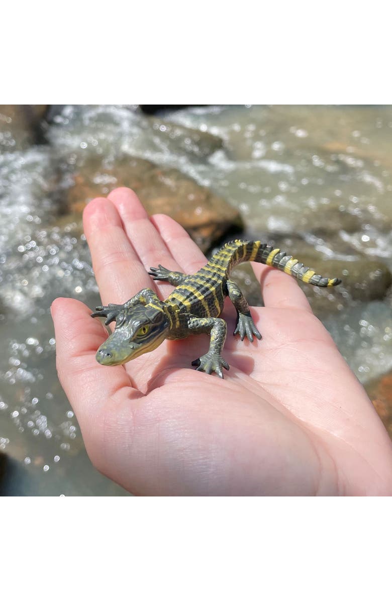 Safari Ltd. Alligator Baby Wildlife Kids Toy Figure, Alternate, color, NO COLOR