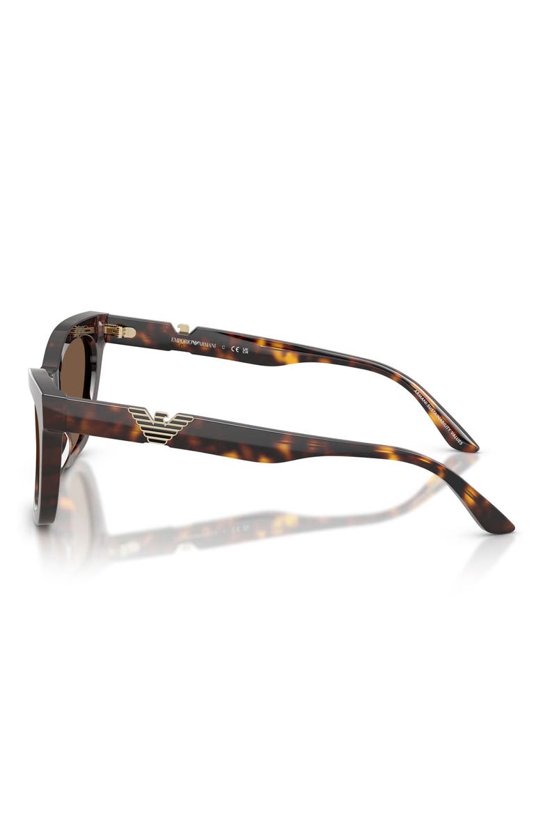 55mm Cat Eye Sunglasses, Alternate, color, SHINY HAVANA / BROWN