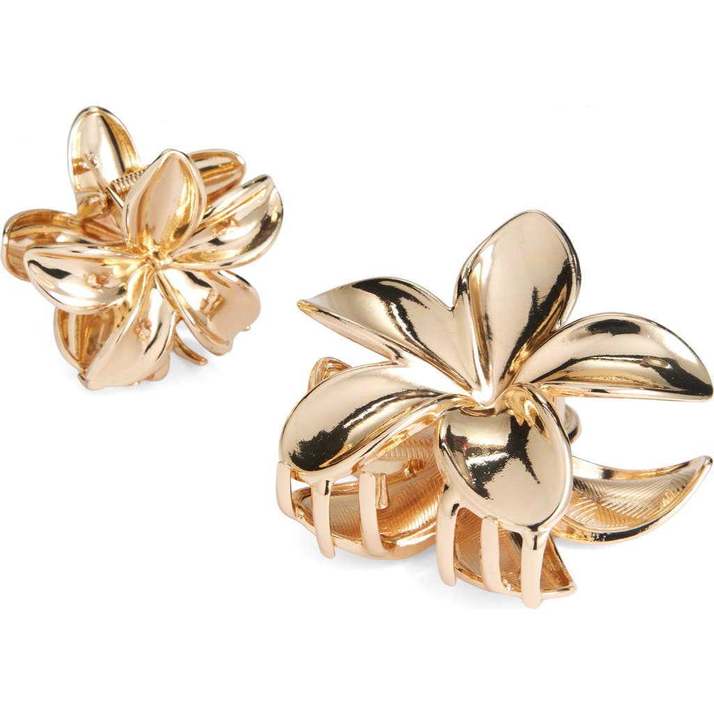 Tasha Assorted 2-pack Flower Hair Clips In Gold