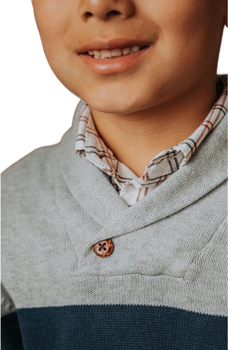 Hope & Henry Boys' Organic Shawl Collar Sweater, Kids, Alternate, color, 