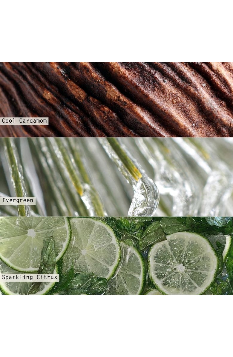 ILLUME<sup>®</sup> Vanity Tin Candle, Alternate, color,