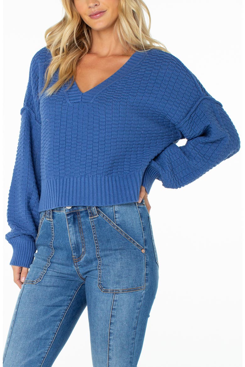 Study Hall V-Neck Cotton Blend Sweater, Alternate, color, DUTCH BLUE