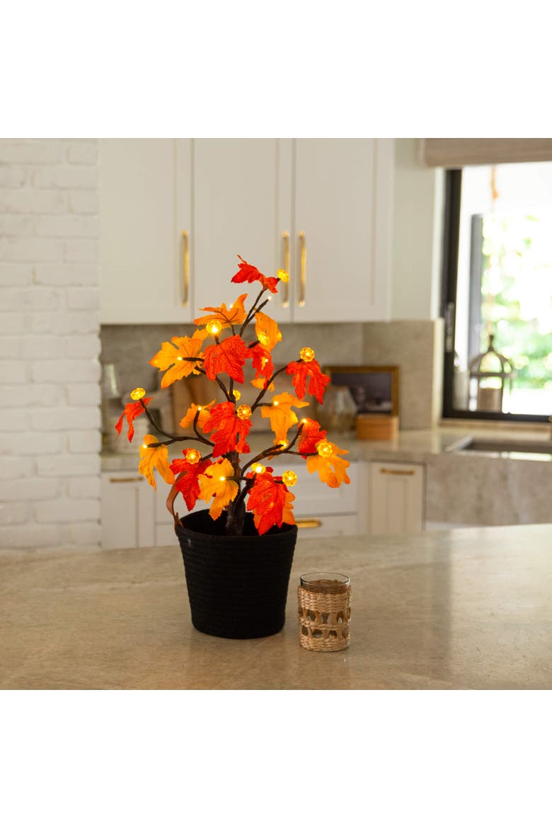 2-ft Pre-Lit Autumn Maple Artificial Fall Tree with 24 Warm White LED & Pumpkin Shaped Lights with Detachable Base, Alternate, color, Orange