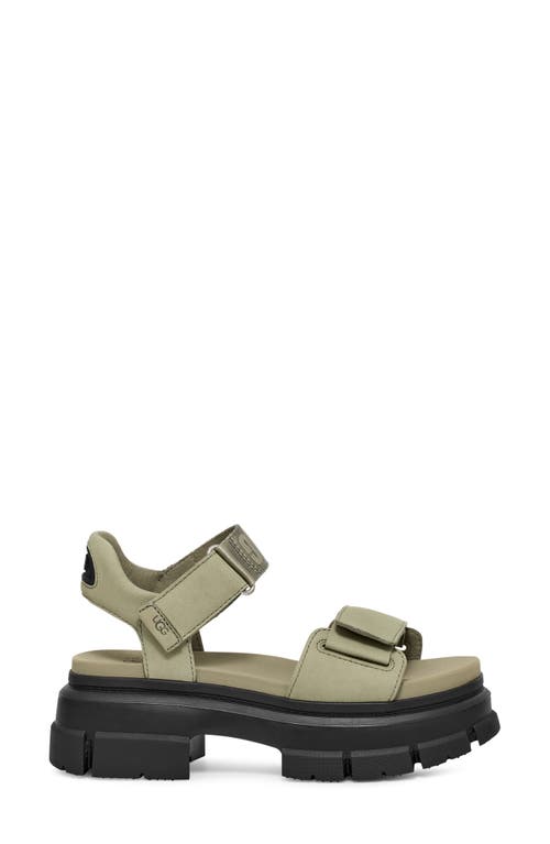 Ugg Sandal Ashton In Shaded Clover