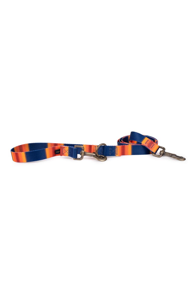 National Park Adventure Leash, Alternate, color, GRAND CANYON