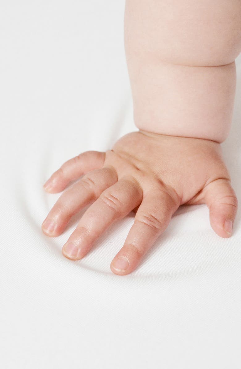 SHNUGGLE Air Lite Infant Crib, Alternate, color, Dove Grey