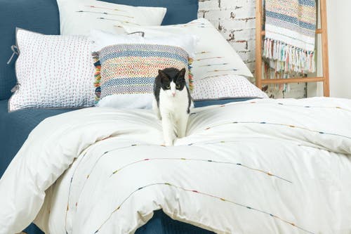 Carol & Frank Raina Cotton Standard Pillow Sham In White