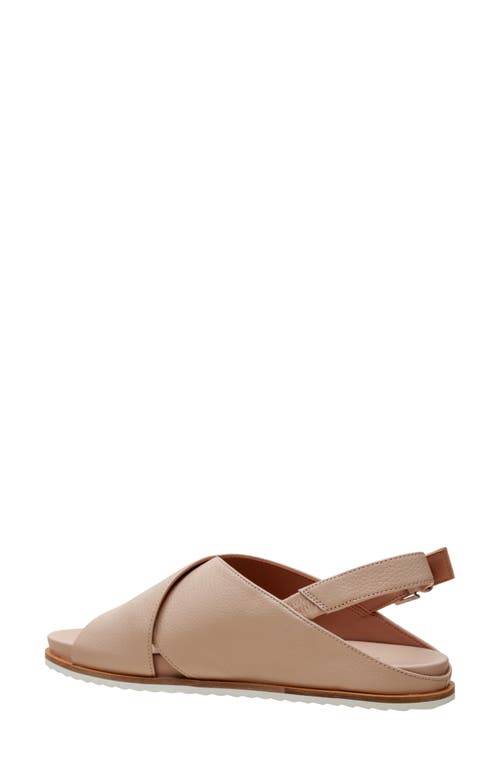 Linea Paolo Raylin Slingback Sandal In Blush Pink