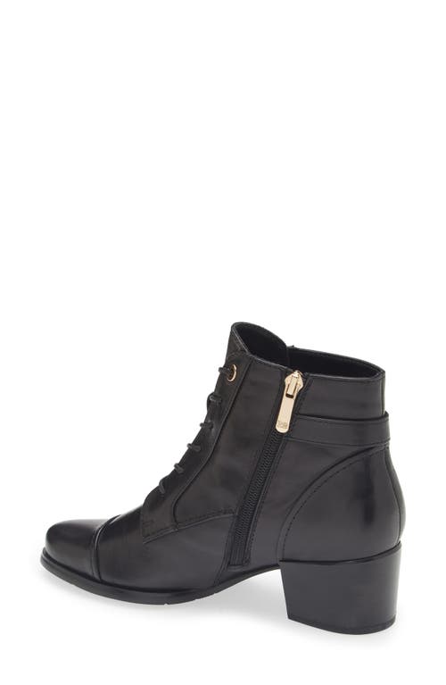Regarde Le Ciel Jolene Buckle Bootie In Black