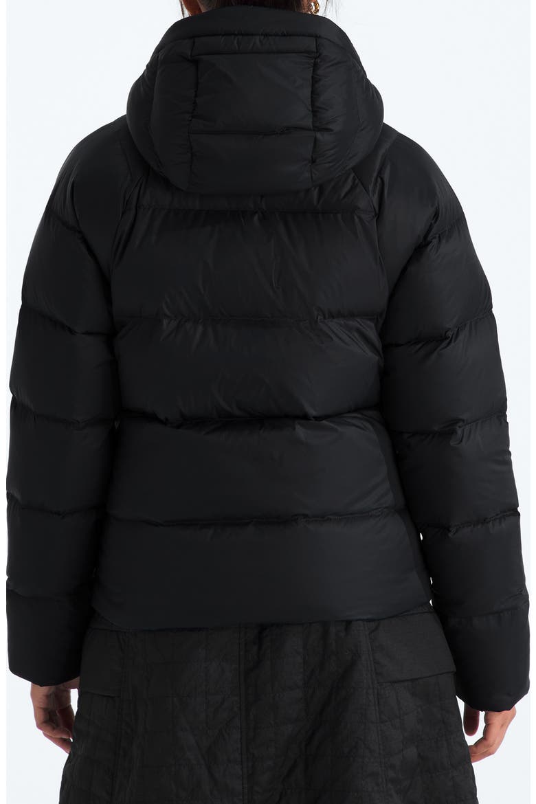 Hydrenalite City Down Hooded Parka, Alternate, color, TNF BLACK