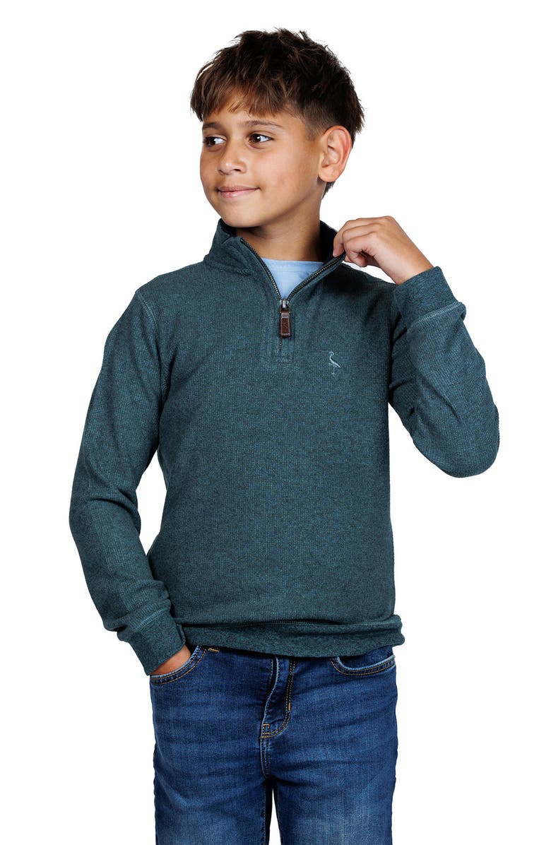 TailorByrd Kids' Knit Quarter-Zip Pullover, Alternate, color, Hunter Green Heather