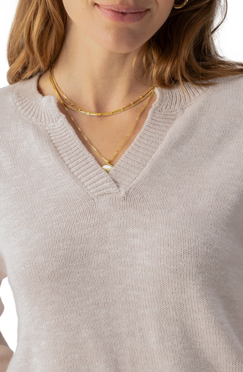 Sanctuary Chill Vibes Cotton V-Neck Sweater, Alternate, color, 