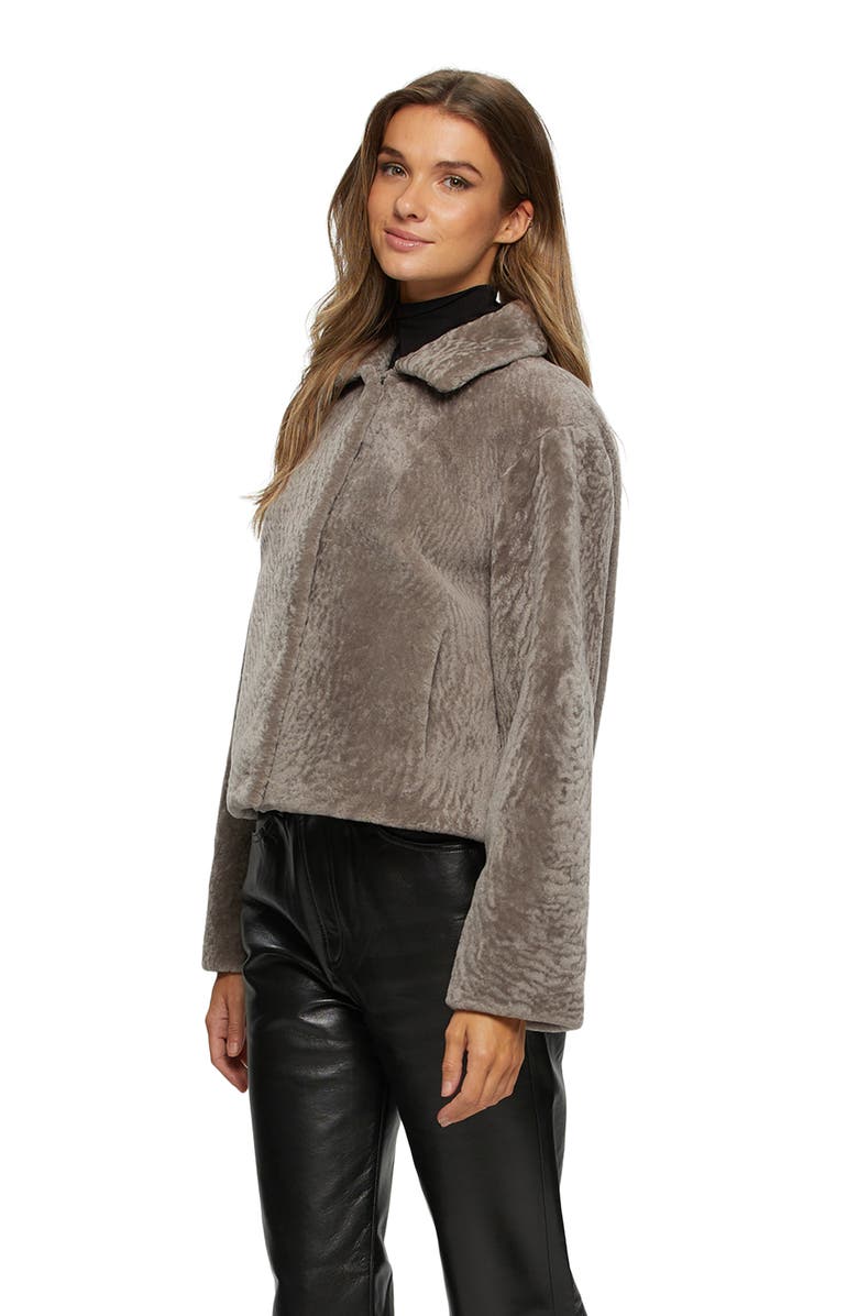 GORSKI Textured Genuine Shearling Short Jacket, Alternate, color,