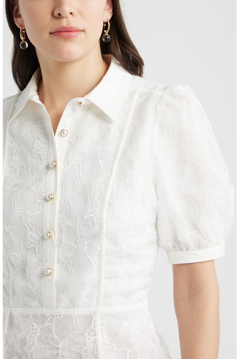 Floral Embroidered Puff Sleeve Minidress, Alternate, color, IVORY CLOUD