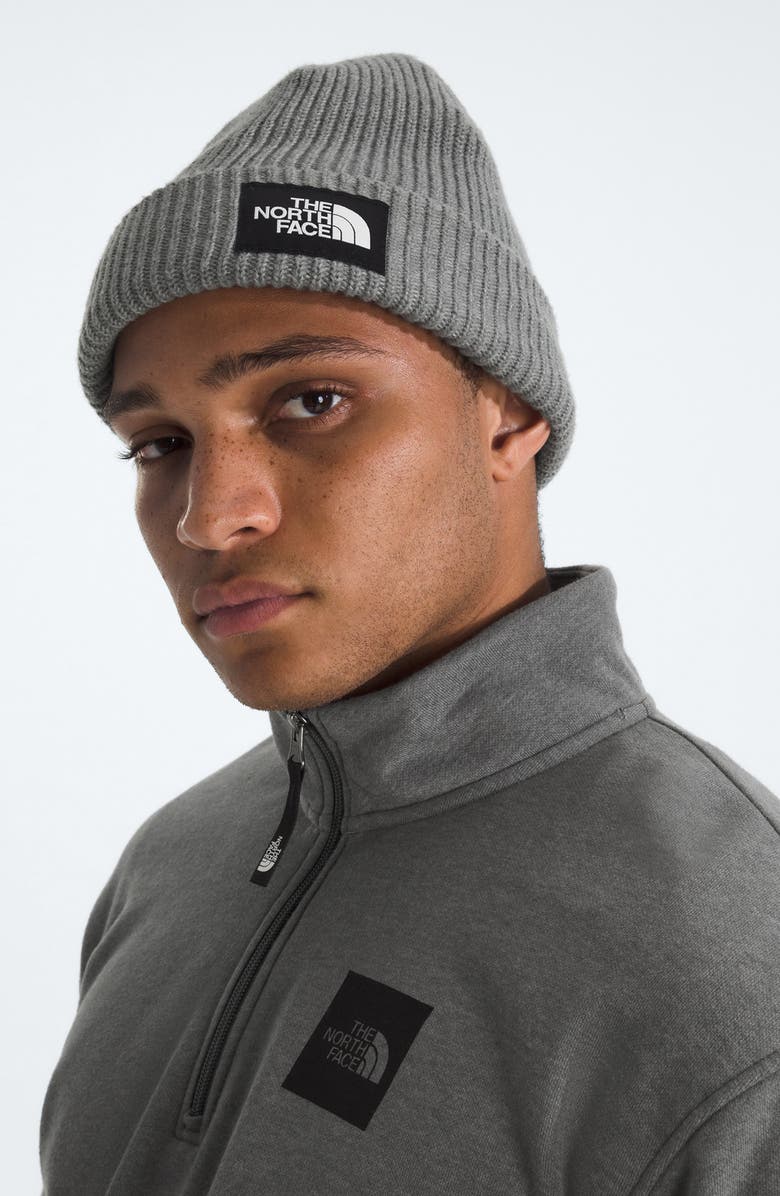 The North Face Salty Dog Beanie, Alternate, color, Tnf Medium Grey Heather