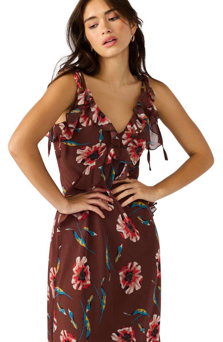 Steve Madden Adalina Ruffle Sleeveless Maxi Dress, Alternate, color, Brown