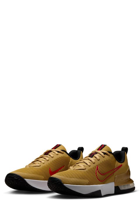 Air Max Alpha Trainer 6 Training Shoe (Men)