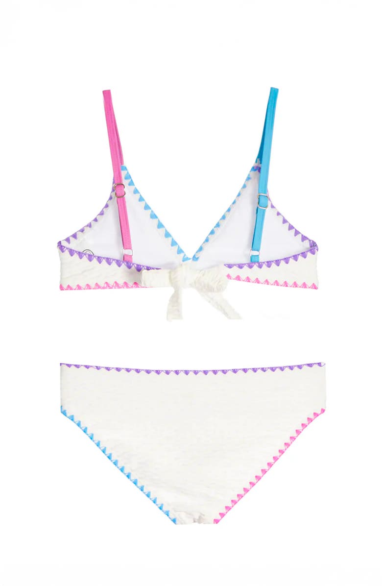 Limeapple Embroidered Trim Bikini, Alternate, color, 