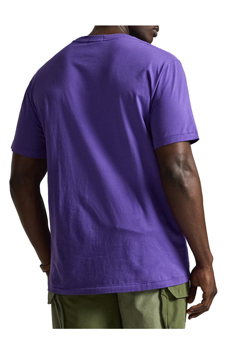 Polo Ralph Lauren Big & Tall Script T-Shirt, Alternate, color, Cabana Purple