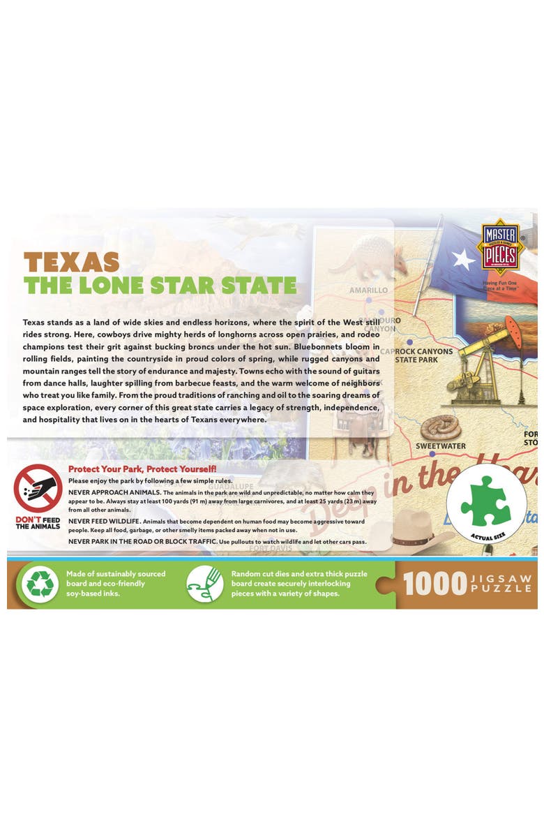 Texas Lone Star State 1000 Piece Puzzle, Alternate, color, Multicolor