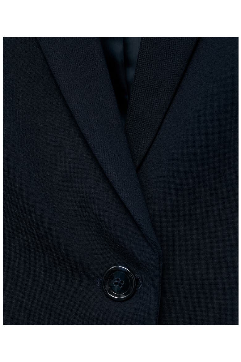 Fitted Suit Jacket, Alternate, color, NAVY